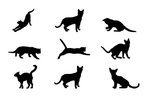 Cat Graphic Design Vector Review