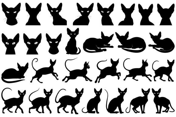 Sphynx Cat Silhouette Embroidery Review